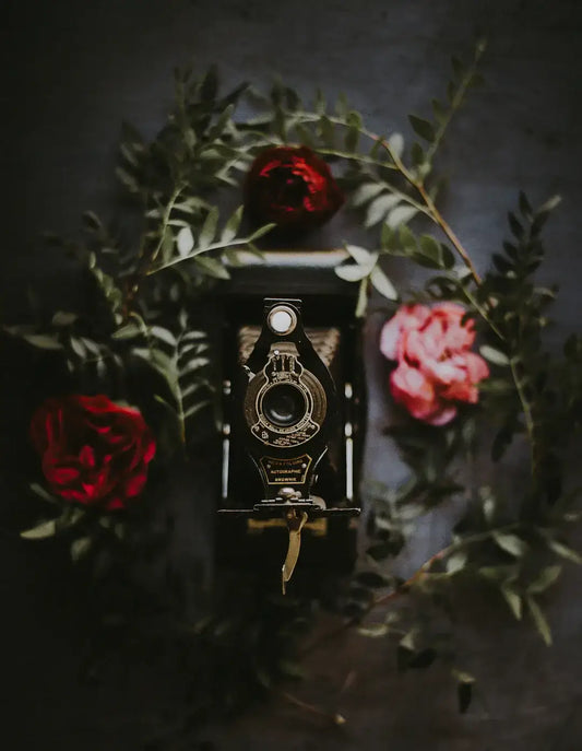 Vintage camera surrounded by lush red and pink roses, evoking a sense of nostalgia and classic elegance.