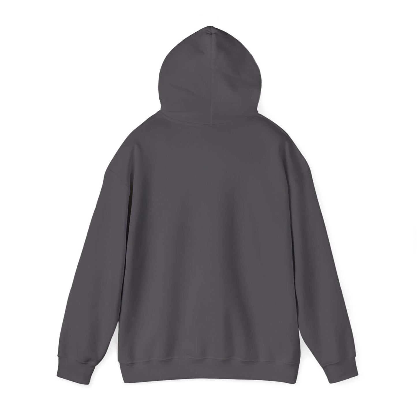 Back view of gray hooded sweatshirt with classic design