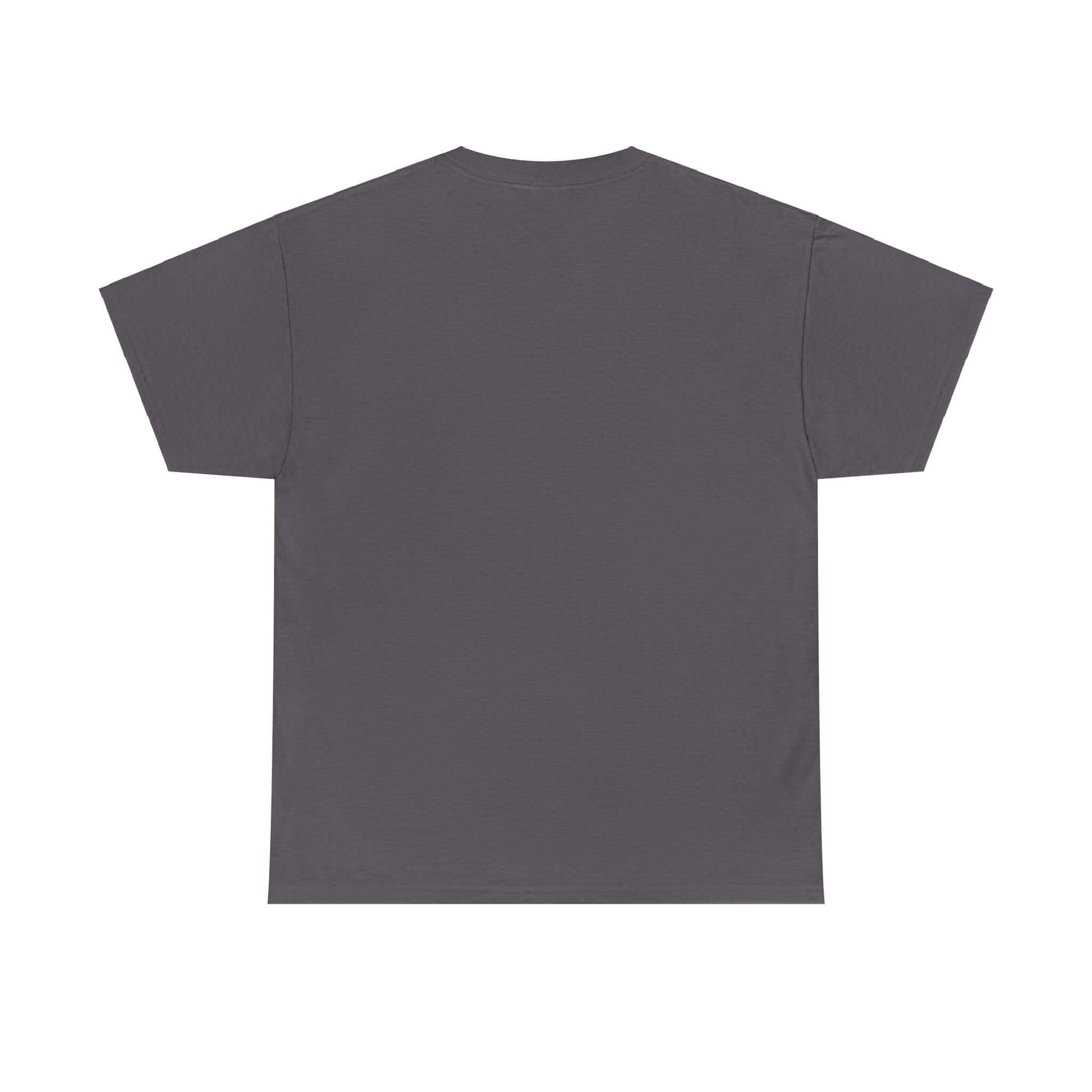 Back view of a gray T-shirt featuring a simple design, ideal for casual wear and expressing cultural pride.