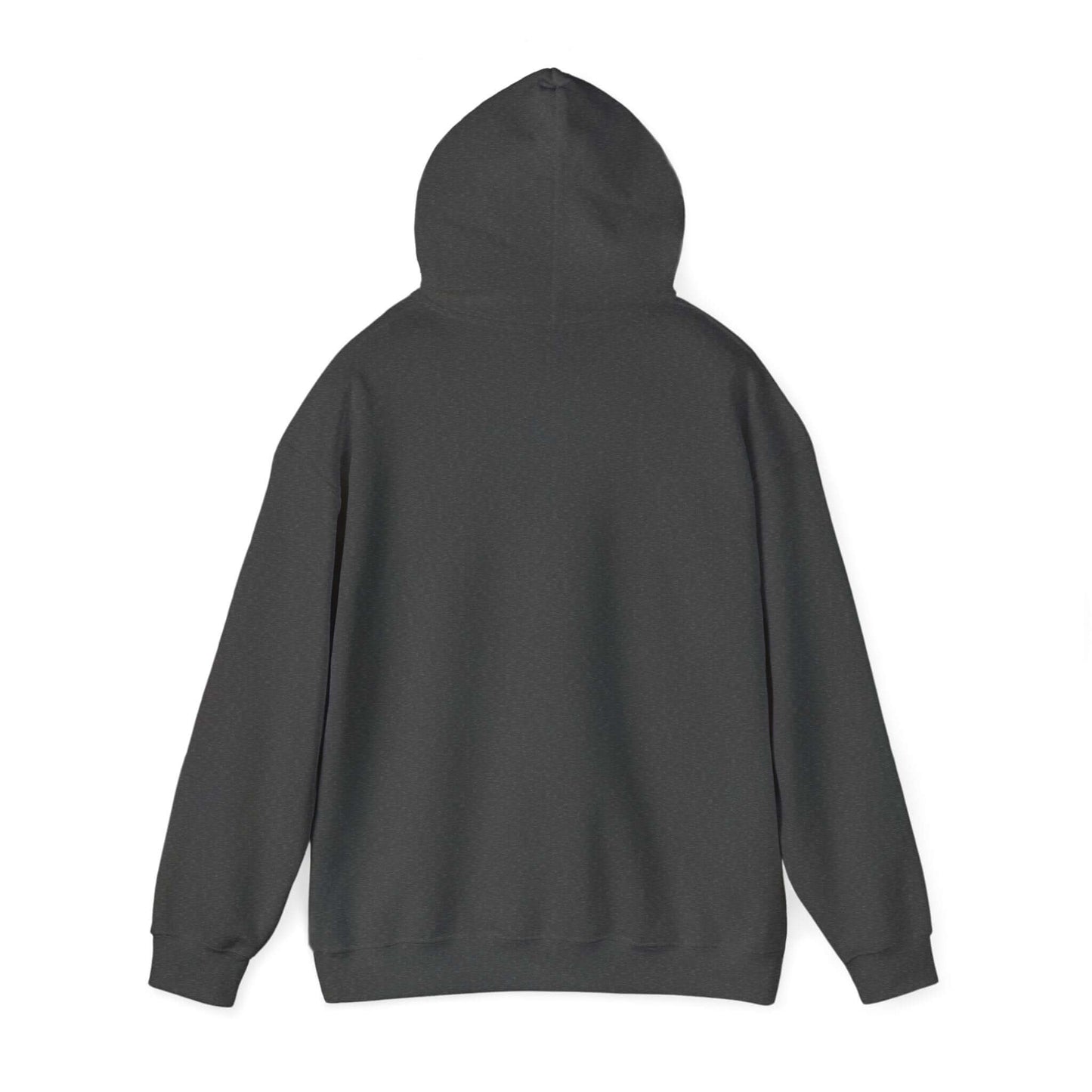 Black hooded sweatshirt showcasing back view, ideal for car enthusiasts and casual outings.